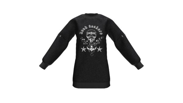 Graphic Raglan Knit