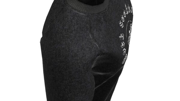 Graphic Raglan Knit - Image 2