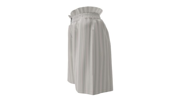 Striped Zip-Up Shorts - Image 3