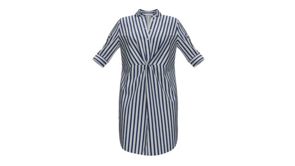 Striped Shirt Dress