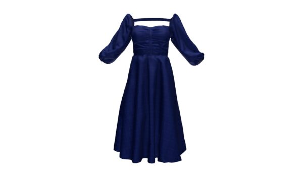 Royal Blue Dress